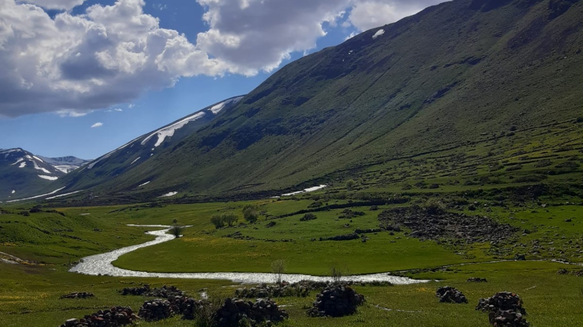 İlkokul Etkinlik Haftası Yayla Gezisi